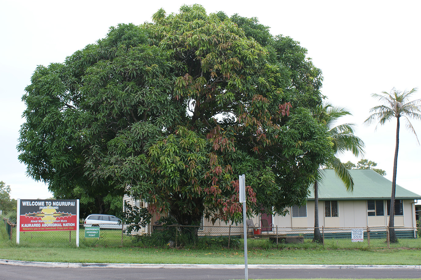 horn-island-airport